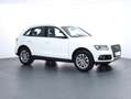 Audi Q5 3.0 TDI clean diesel quattro Weiß - thumbnail 3