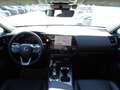 Lexus NX 450h+ E-Four Aut. FLA SpurH Grau - thumbnail 12