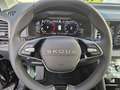 Skoda Karoq 4x4 Selection TDI DSG (AHV, LED, ACC,) Schwarz - thumbnail 10