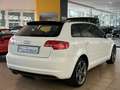 Audi A3 2.0 TDI S line Sportpaket plus*PANO*XENON+* Weiß - thumbnail 3