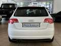 Audi A3 2.0 TDI S line Sportpaket plus*PANO*XENON+* Weiß - thumbnail 6