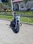 Harley-Davidson Softail standard motore 107 Szürke - thumbnail 4