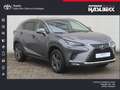 Lexus NX 300 300h E-FOUR Executive Line Gris - thumbnail 1