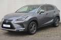 Lexus NX 300 300h E-FOUR Executive Line Gris - thumbnail 8