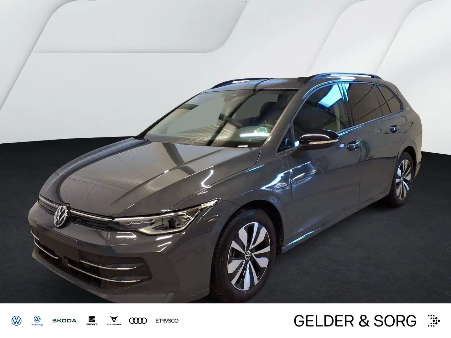Volkswagen Golf Variant Goal 2.0 TDI Matrix*AHK*Digital*360 Grau - 1