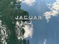 Jaguar MK II 3.8 / 4.2 Optimiert Vert - thumbnail 15