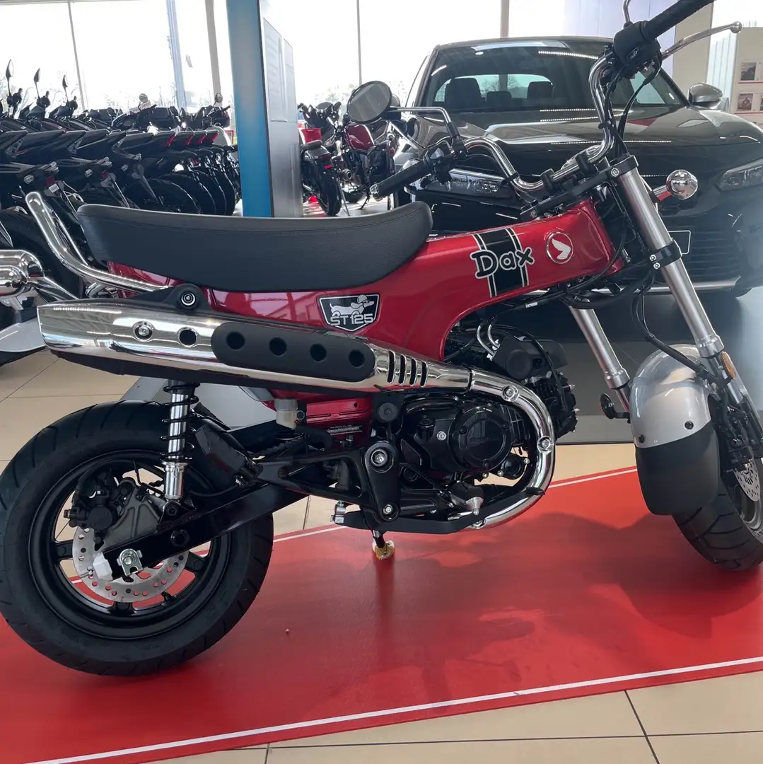Honda Dax ST 50 Dax 125 Rot - 2