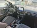 Ford Fiesta Vignale 1.0 EcoBoost EU6d-T Navi ACC Apple CarPlay Weiß - thumbnail 12