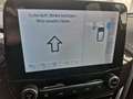 Ford Fiesta Vignale 1.0 EcoBoost EU6d-T Navi ACC Apple CarPlay Weiß - thumbnail 14