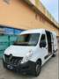 Renault Master Blanc - thumbnail 3