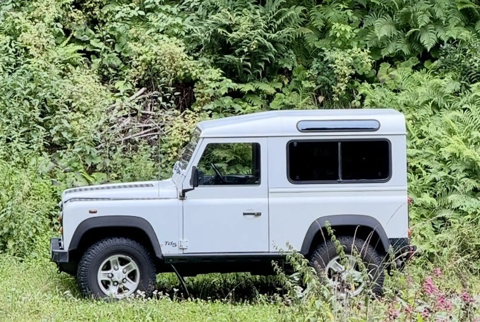 Land Rover Defender 90" Station Wagon 2,5 TD - 1