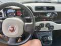 Fiat Panda 1.3 Multijet 4x4 Diesel DPF Classic - thumbnail 15