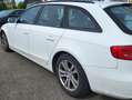 Audi A4 Attraction Bianco - thumbnail 4