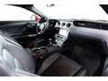 Ford Mustang GT 5.0 V8 421 BVM6 Rot - thumbnail 11
