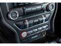Ford Mustang GT 5.0 V8 421 BVM6 Rot - thumbnail 15