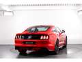 Ford Mustang GT 5.0 V8 421 BVM6 Rot - thumbnail 5