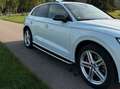 Audi SQ5 Q5 Diesel TDI quattro tiptronic Weiß - thumbnail 4
