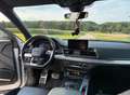 Audi SQ5 Q5 Diesel TDI quattro tiptronic Weiß - thumbnail 14