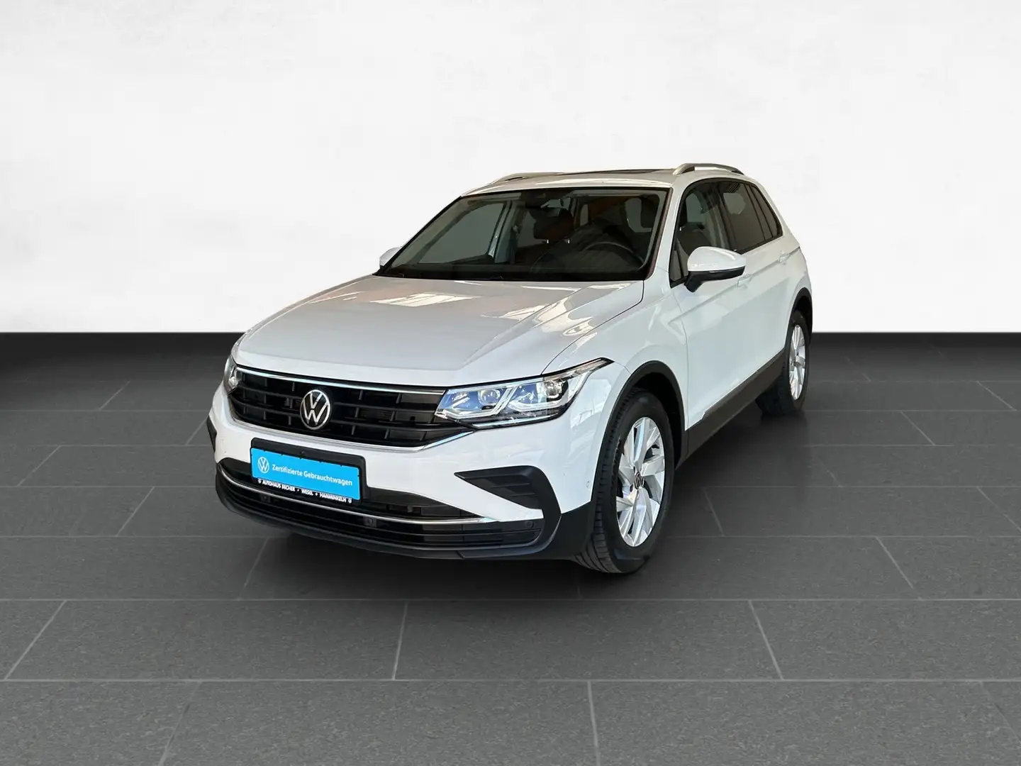 Volkswagen Tiguan Life 2.0 TDI DSG /AHK/Sitzhz/Pano/Navi Weiß - 2