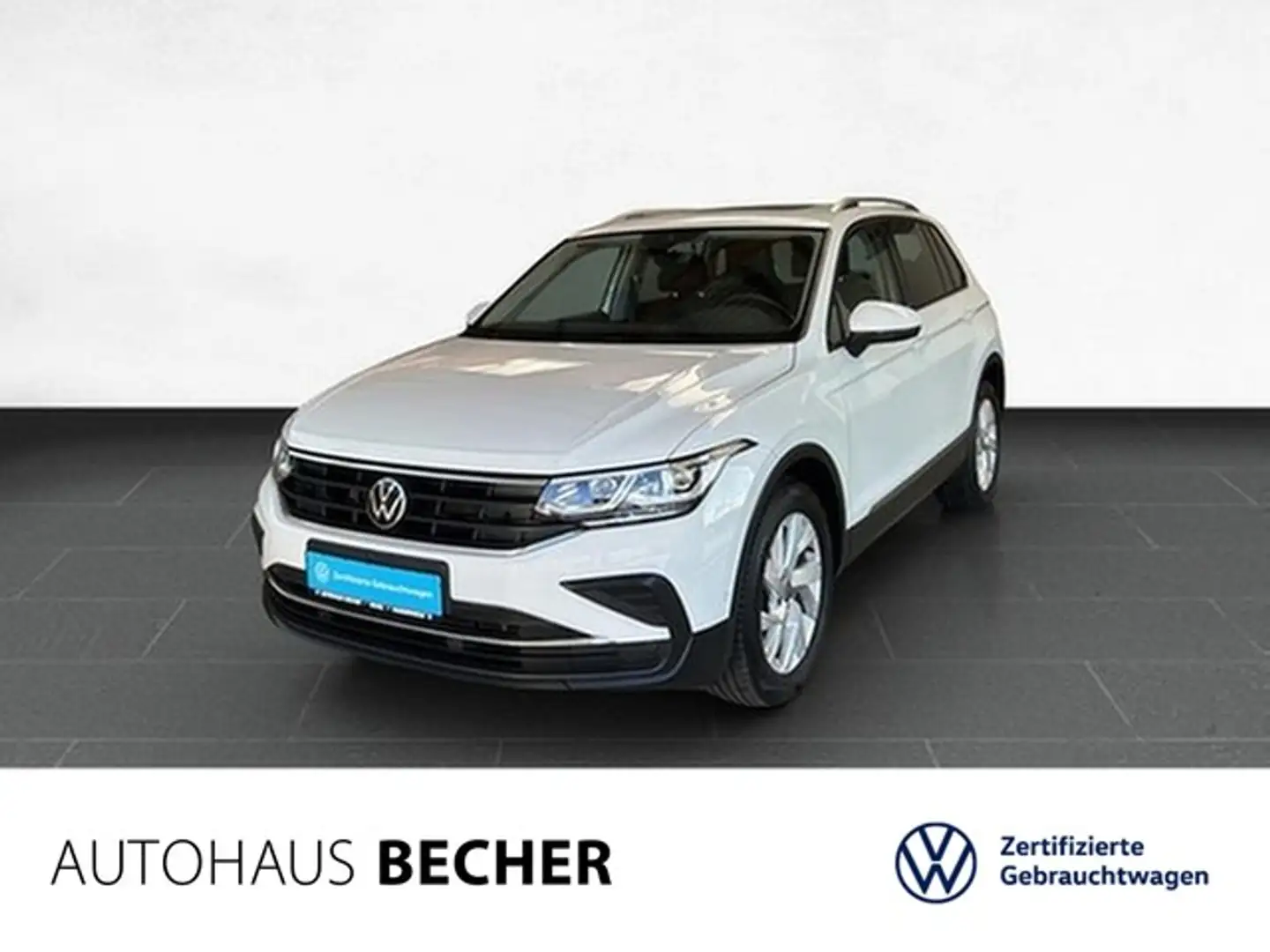 Volkswagen Tiguan Life 2,0 TDI DSG /AHK/Sitzhz/Pano/Navi Weiß - 1