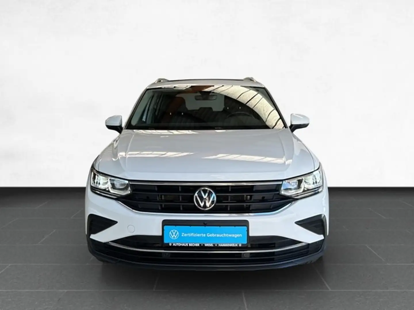 Volkswagen Tiguan Life 2,0 TDI DSG /AHK/Sitzhz/Pano/Navi Weiß - 2