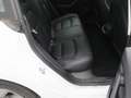 Tesla Model 3 Standard RWD Plus FACELIFT [ LFP ACCU+WARMTEPOMP+A Wit - thumbnail 14