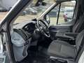 Ford Transit 350 L2 Trend Hoch-Lang 8-Sitzer Stand Autom - thumbnail 17