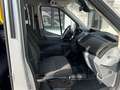 Ford Transit 350 L2 Trend Hoch-Lang 8-Sitzer Stand Autom - thumbnail 11