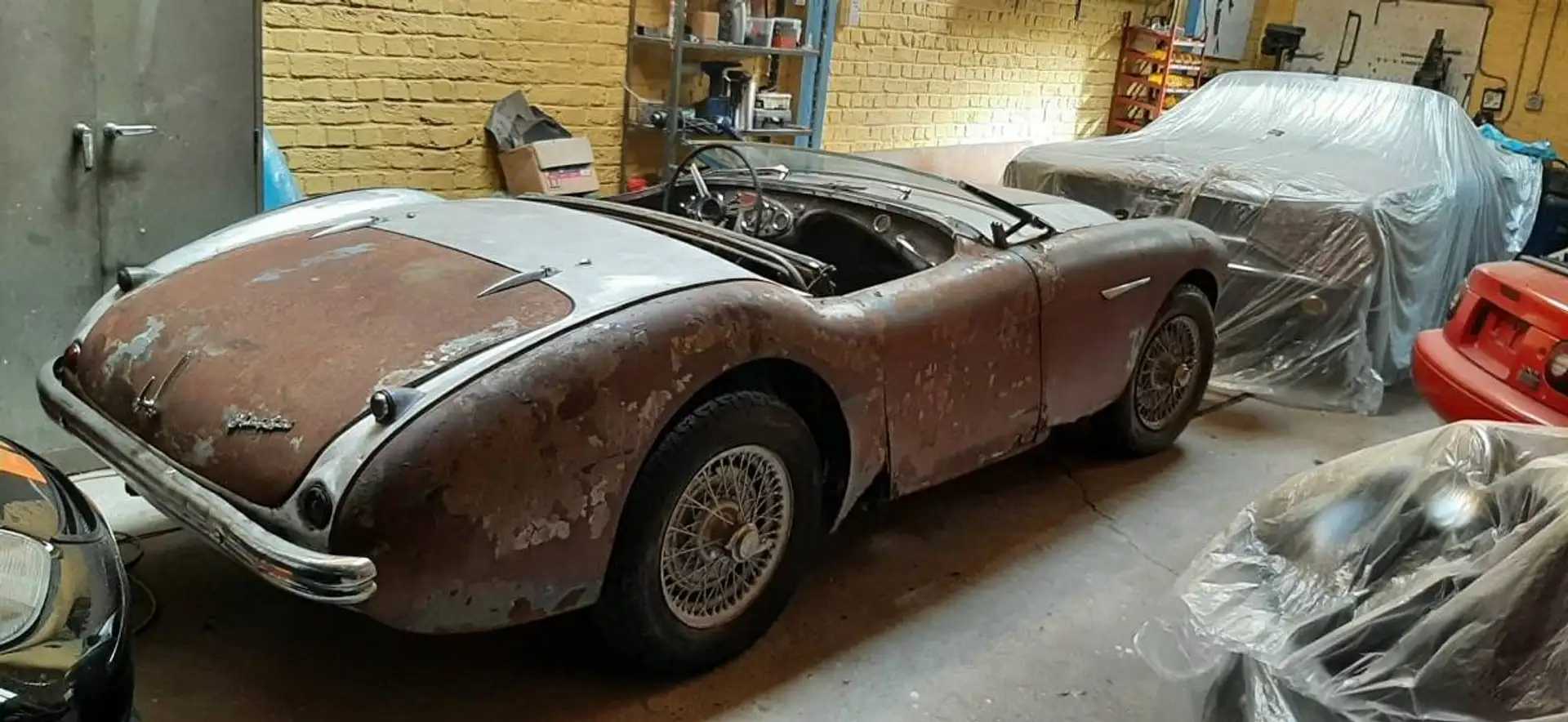 Austin-Healey 100 100/4 Blau - 2