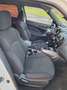 Nissan Juke 1.5dCi Acenta Alb - thumbnail 15