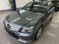 Mercedes-Benz C 220 CDI*AUTO*AVANTG*BI-XN*KAMER*TMP*LEDER*AHK Gris - thumbnail 2