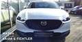 Mazda CX-30 e-SKYACTIV G 140 PS Automatik Takumi Leder Blanco - thumbnail 7