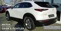 Mazda CX-30 e-SKYACTIV G 140 PS Automatik Takumi Leder Weiß - thumbnail 6