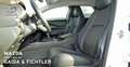 Mazda CX-30 e-SKYACTIV G 140 PS Automatik Takumi Leder Blanco - thumbnail 11