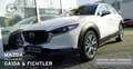 Mazda CX-30 e-SKYACTIV G 140 PS Automatik Takumi Leder Blanc - thumbnail 4