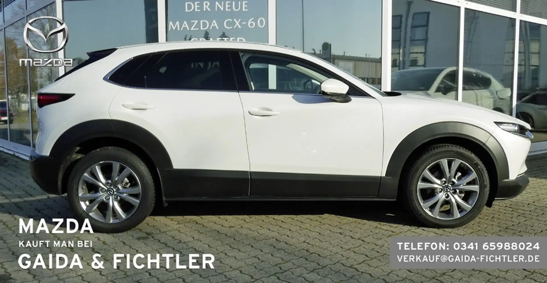 Mazda CX-30 e-SKYACTIV G 140 PS Automatik Takumi Leder Weiß - 2