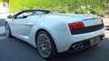 Lamborghini Gallardo Spyder 1 Besitz, Sammler-Fahrzeug Original neue... Weiß - thumbnail 4