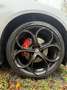 Alfa Romeo Giulia Giulia 2.0 T Super Gris - thumbnail 12