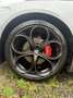 Alfa Romeo Giulia Giulia 2.0 T Super Gris - thumbnail 13