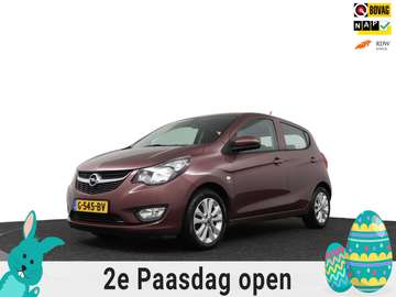 1.0 ecoFLEX 120 Jaar Edition Airco/LM-velgen/PDC a