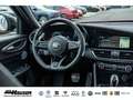 Alfa Romeo Giulia Competizione 2.0 Turbo AT8 Q4 HARMAN-KARDON EL. HE Roşu - thumbnail 16