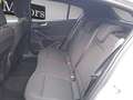 Ford Focus 1.0 HYBRID 125CV 5p. ST-Line Navigatore Sensori Silber - thumbnail 10