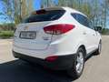 Hyundai iX35 1.7CRDI SLE Sky 4x2 Blanc - thumbnail 6