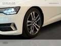 Audi A6 avant 50 3.0 tdi mhev business sport quattro tiptr White - thumbnail 14