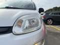 Fiat Panda 1.3 mjt 16v Easy s&s 95cv Grijs - thumbnail 14