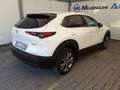 Mazda CX-30 2.0L Hybrid 122cv Executive + Appearence Pack Bianco - thumbnail 12