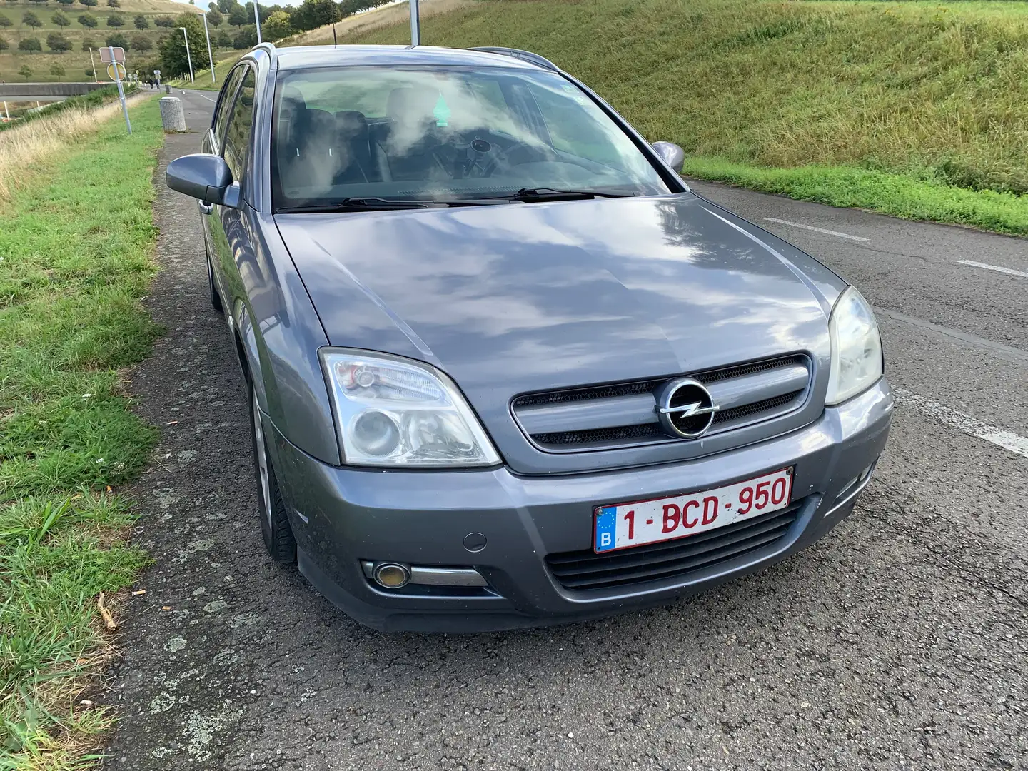Opel Signum Signum 1.9 DTH CDTi Elegance Gris - 1