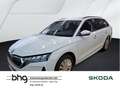 Skoda Octavia Combi Essence 2,0 TDI 6-Gang PDC SHZ DAB Weiß - thumbnail 1