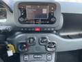 Fiat Panda FIREFLY HYBRID Rot - thumbnail 6