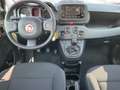 Fiat Panda FIREFLY HYBRID Rot - thumbnail 9